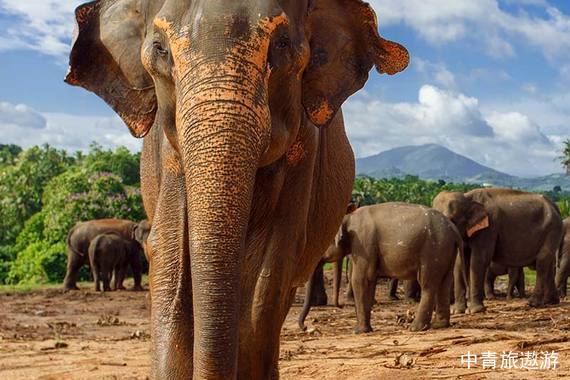 【双海拾梦】4晚斯里兰卡+3晚马尔代夫双国7晚9日游【倾听古老锡兰回音/邂逅奢华马尔代夫】