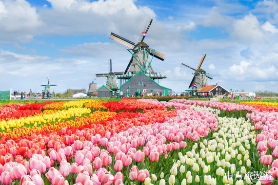 荷兰+比利时+德国+卢森堡+库肯霍夫郁金香公园14天11晚|双点往返直飞|库肯霍夫公园+4大世界文化遗产+7童话小镇+9大名城