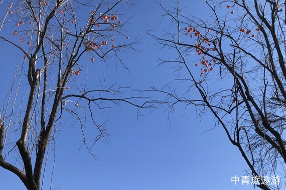北京恭王府景區(qū)講解【奇異文旅 不含票北京恭王府3小時(shí)深度講解 15人小團(tuán)大咖導(dǎo)游研學(xué)一日游】