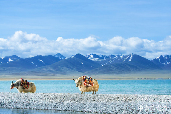 【芳华旅行家】【遨游西藏】拉萨+林芝+圣湖6-11日游【夜观南迦巴瓦+布达拉宫+大昭寺+羊卓雍措+巴松措+大峡谷+玉松岛+嘎啦桃花村】