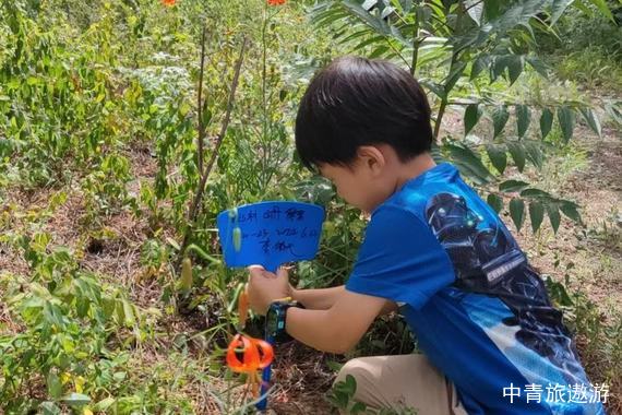 平谷体育研学南山村1日游【野外安全拓展；参与南山大地艺术季】